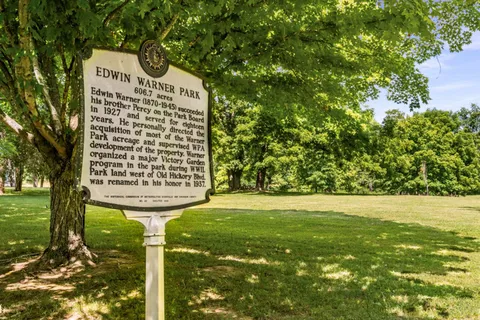 a view of a big yard with large trees