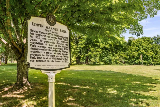 a view of a big yard with large trees