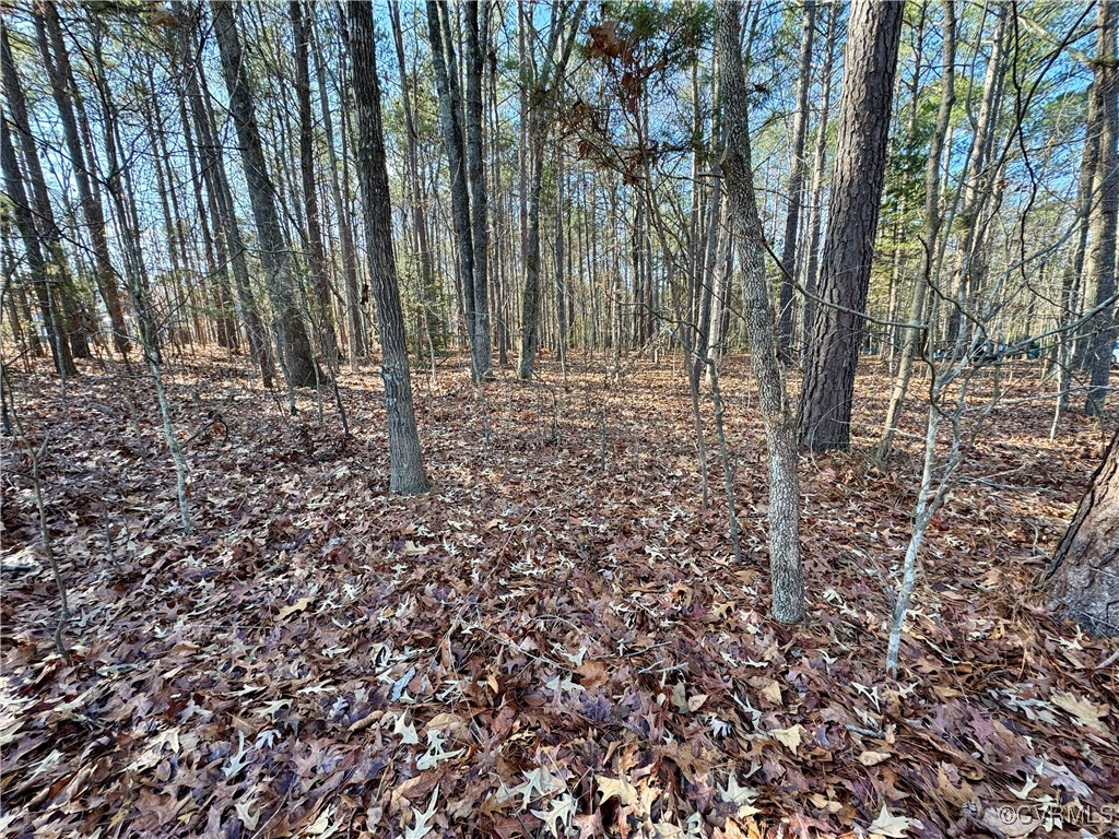 3085 Braehead Road Powhatan, VA 23139 - Photo 2 of 13 Wooded lot easy building with clean woods