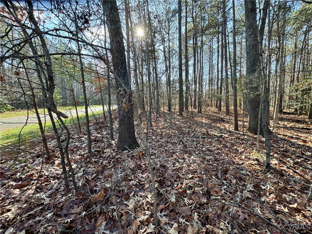3085 Braehead Road Powhatan, VA 23139 - Photo 3 of 13 Lot faces mostly east.