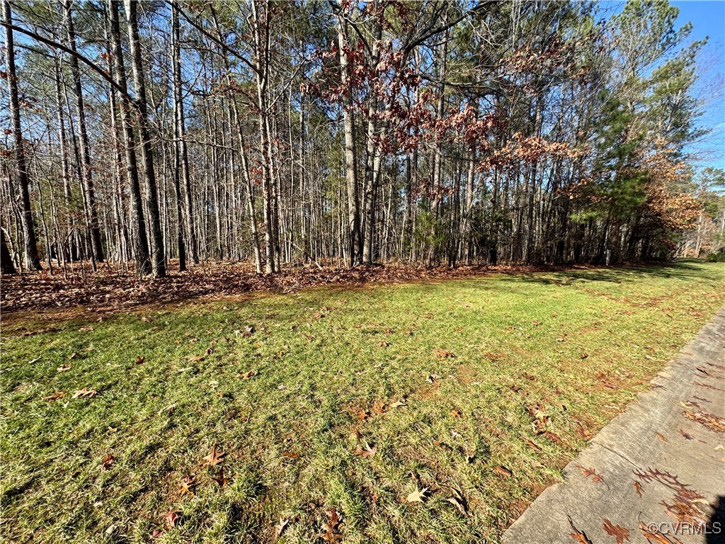 3085 Braehead Road Powhatan, VA 23139 - Photo 4 of 13 View of front of lot.