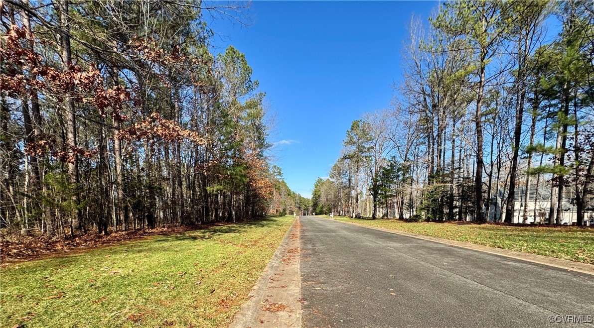 3085 Braehead Road Powhatan, VA 23139 - Photo 5 of 13 View of road in front of lot.
