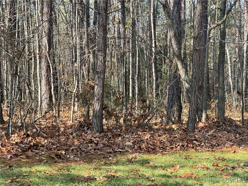 3085 Braehead Road Powhatan, VA 23139 - Photo 7 of 13 Wooded Lot 2+acres