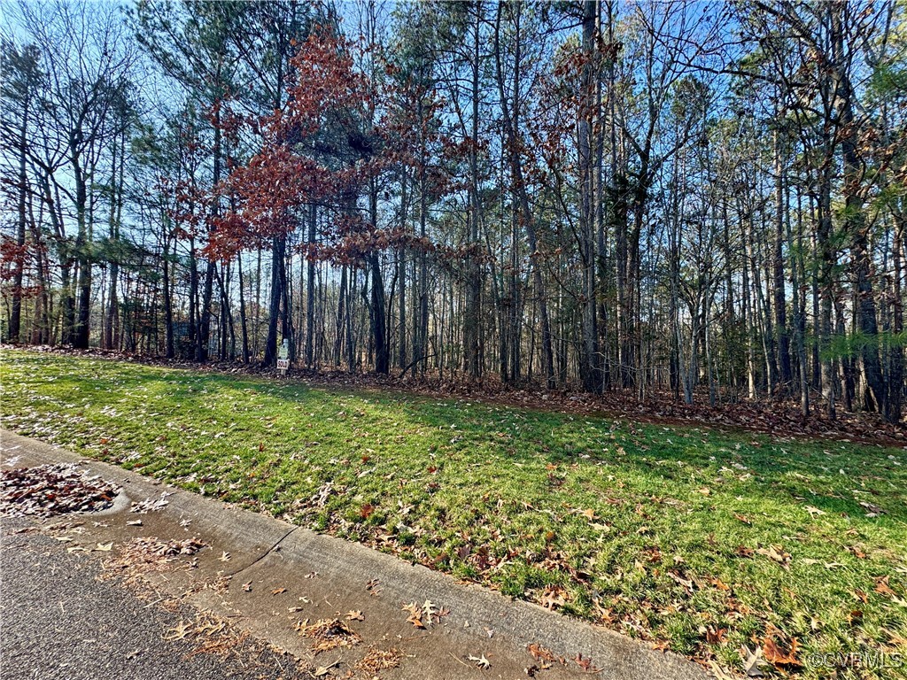 3085 Braehead Road Powhatan, VA 23139 - Photo 8 of 13 View of road frontage
