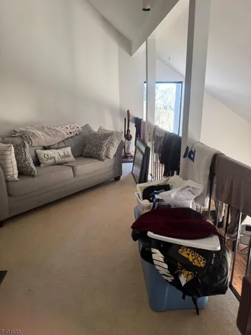 a living room with furniture and a gym machine