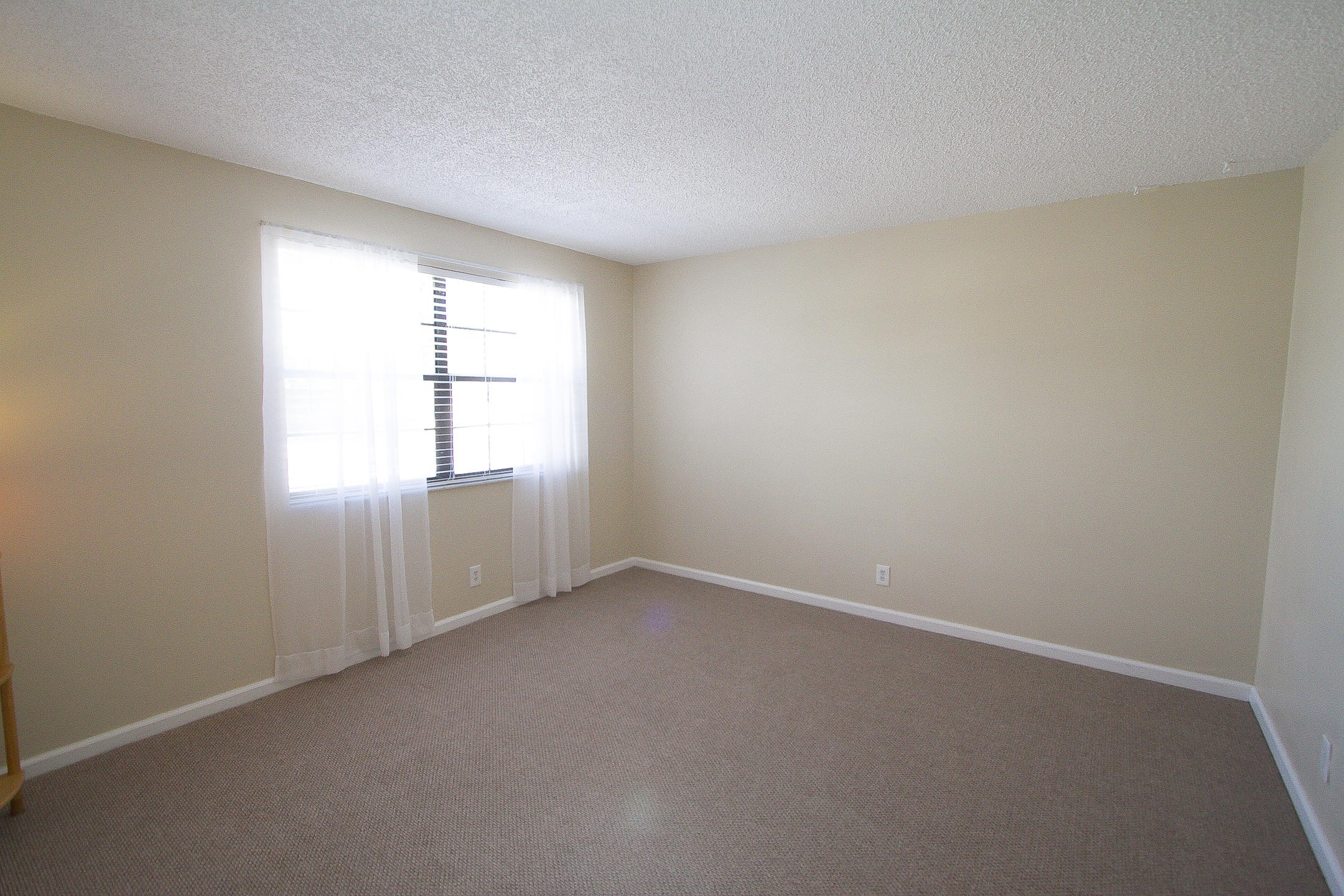 454 Ashwood Place Boca Raton, FL 33431 - Photo 20 of 30 new-19.jpg