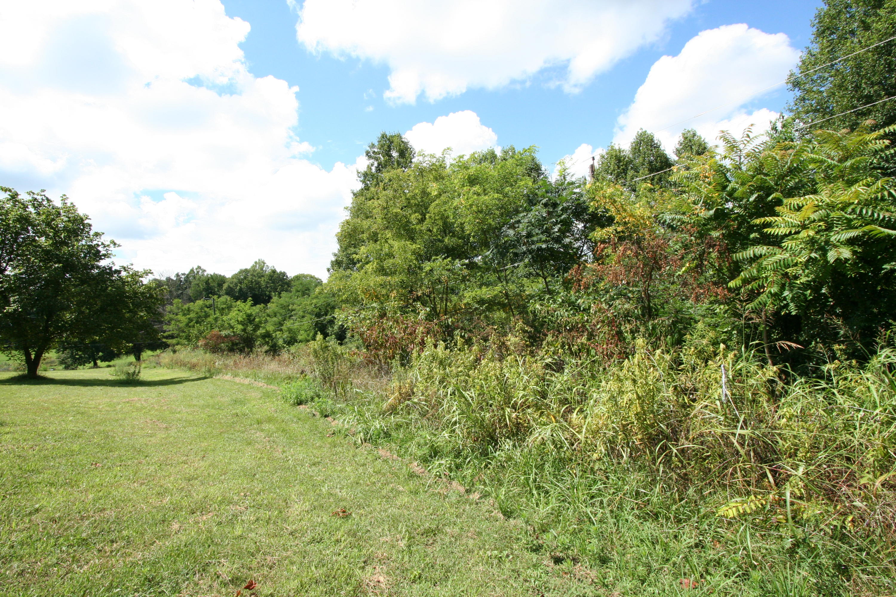 Wallace Road Luttrell, TN 37779 - Photo 1 of 24 Wallace Rd 1