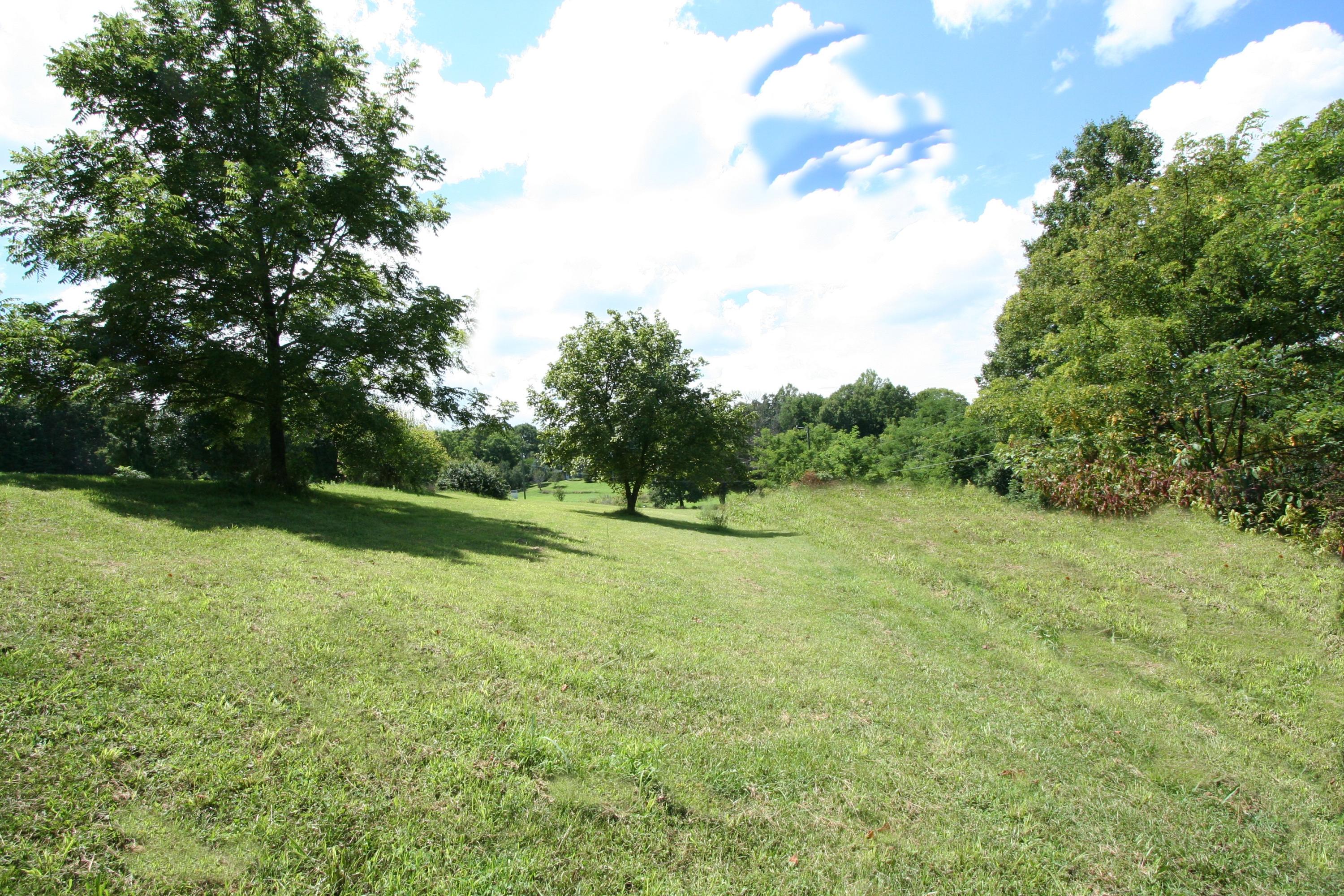 Wallace Road Luttrell, TN 37779 - Photo 14 of 24 Wallace Rd 14