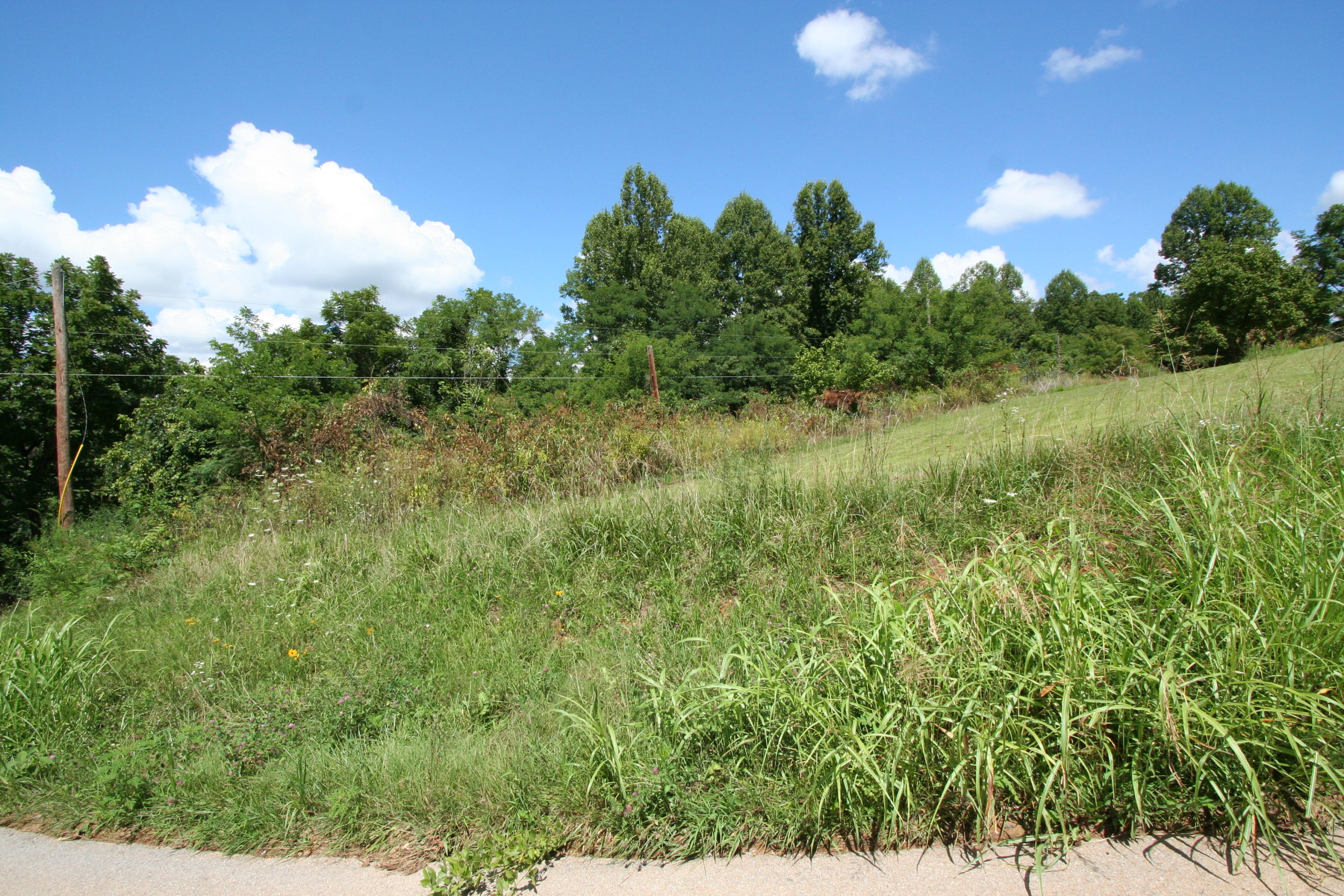 Wallace Road Luttrell, TN 37779 - Photo 3 of 24 Wallace Rd 3