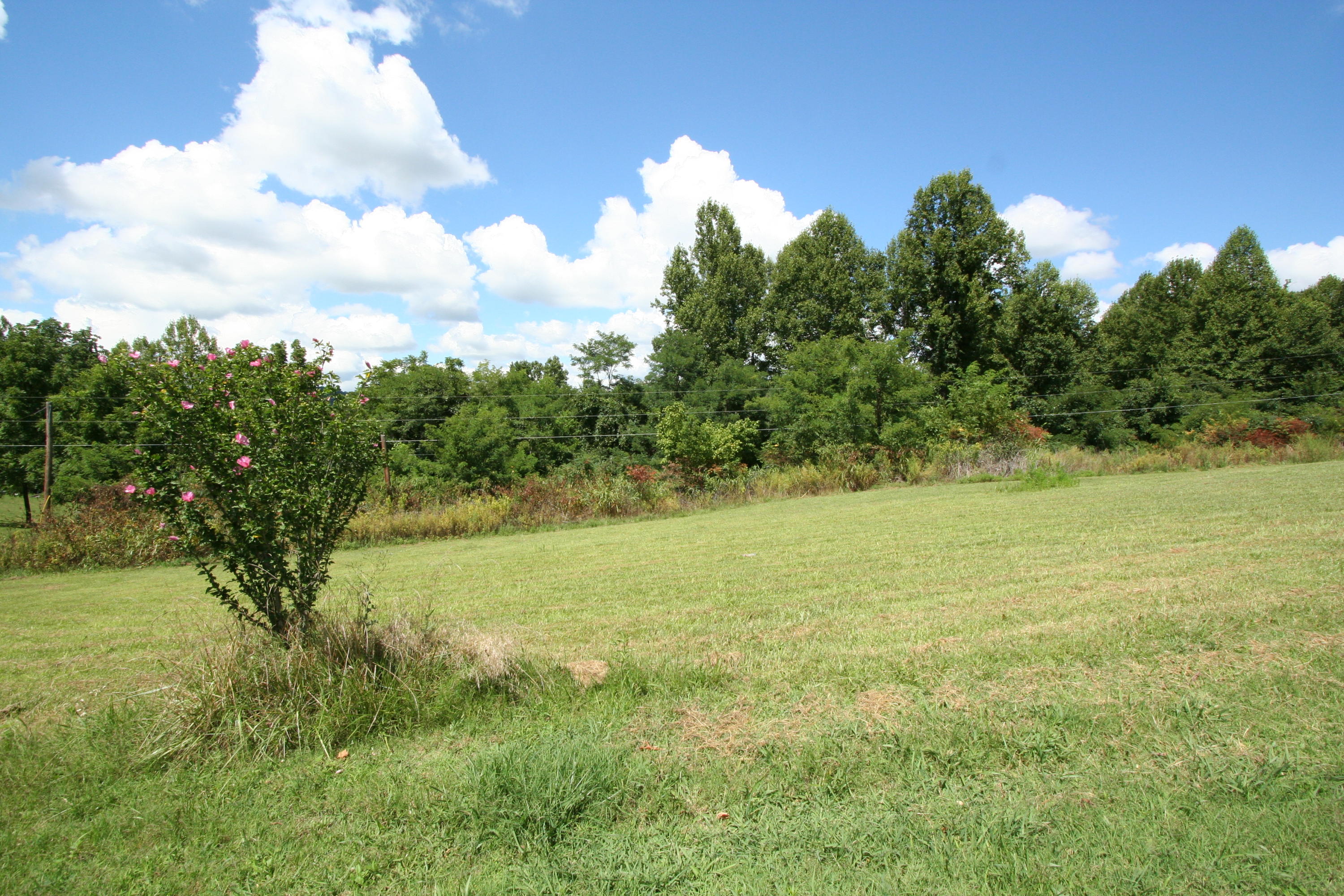 Wallace Road Luttrell, TN 37779 - Photo 23 of 24 Wallace Rd 23