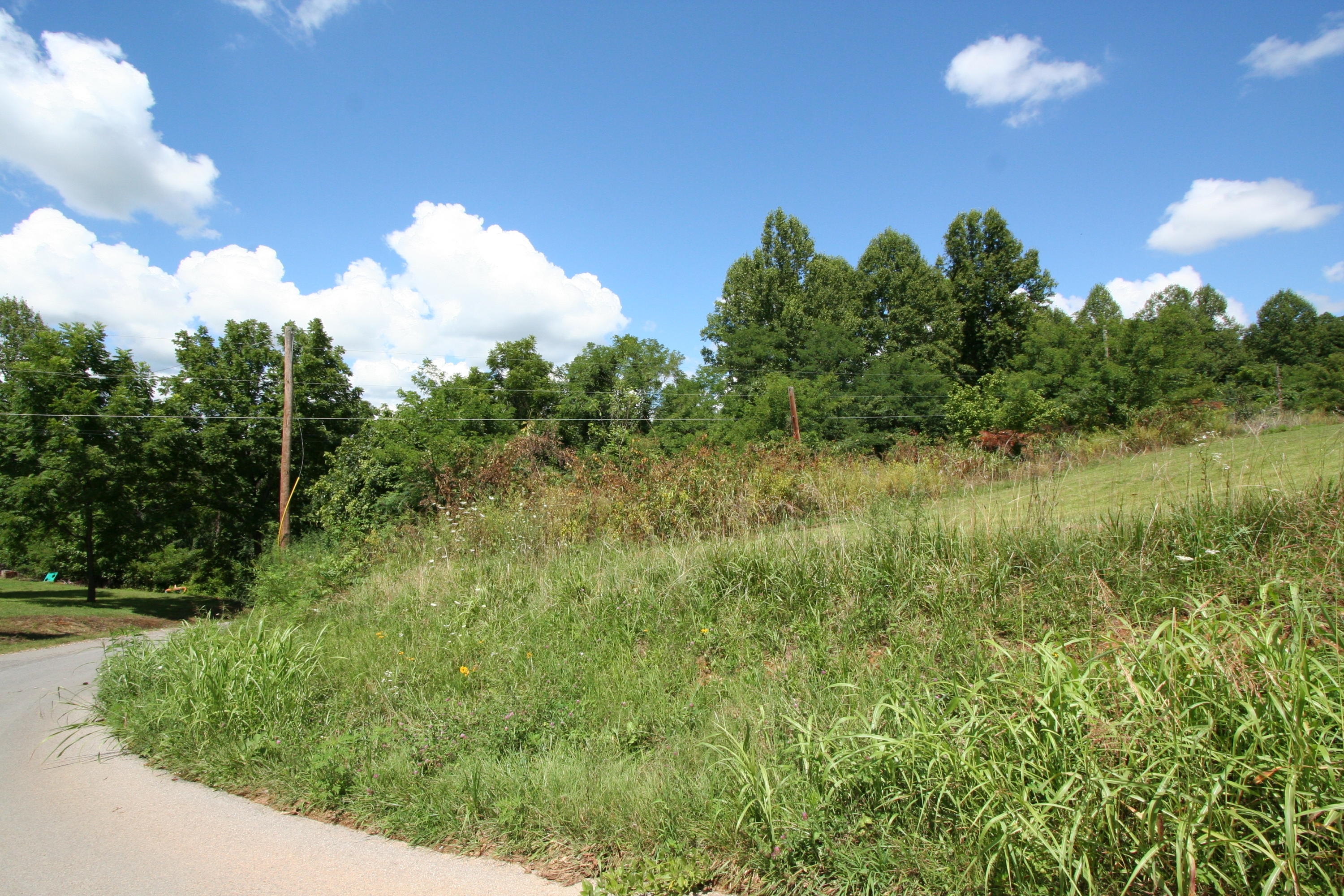 Wallace Road Luttrell, TN 37779 - Photo 4 of 24 Wallace Rd 4
