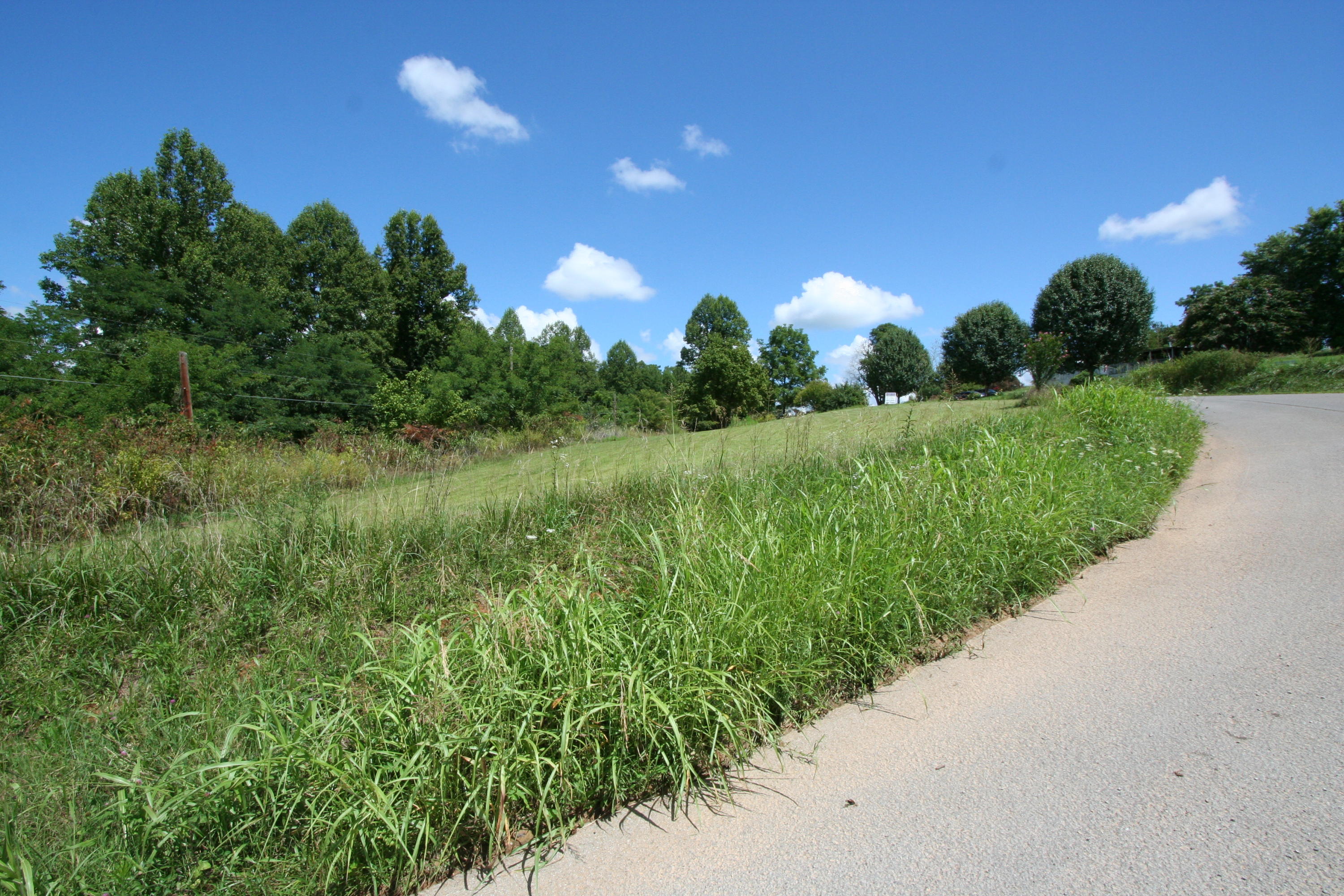 Wallace Road Luttrell, TN 37779 - Photo 5 of 24 Wallace Rd 5