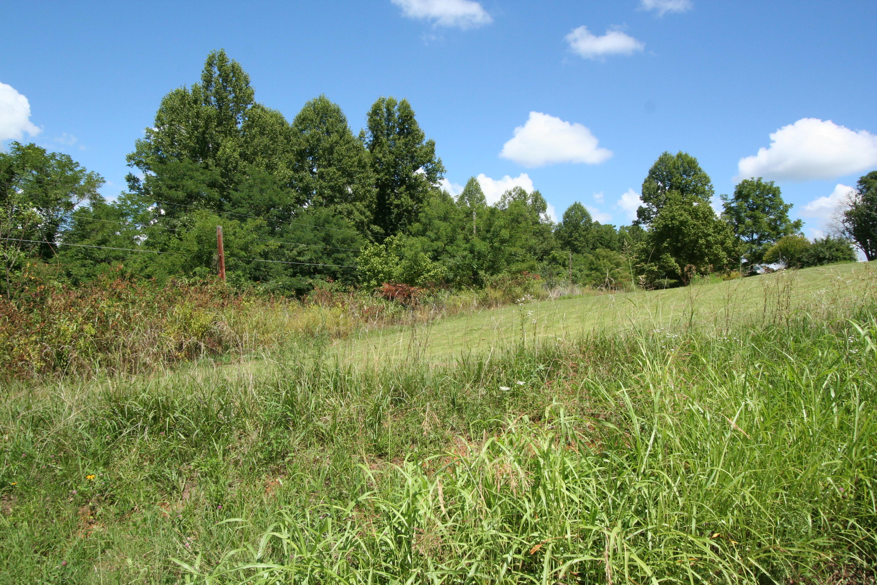 Wallace Road Luttrell, TN 37779 - Photo 6 of 24 Wallace Rd 6