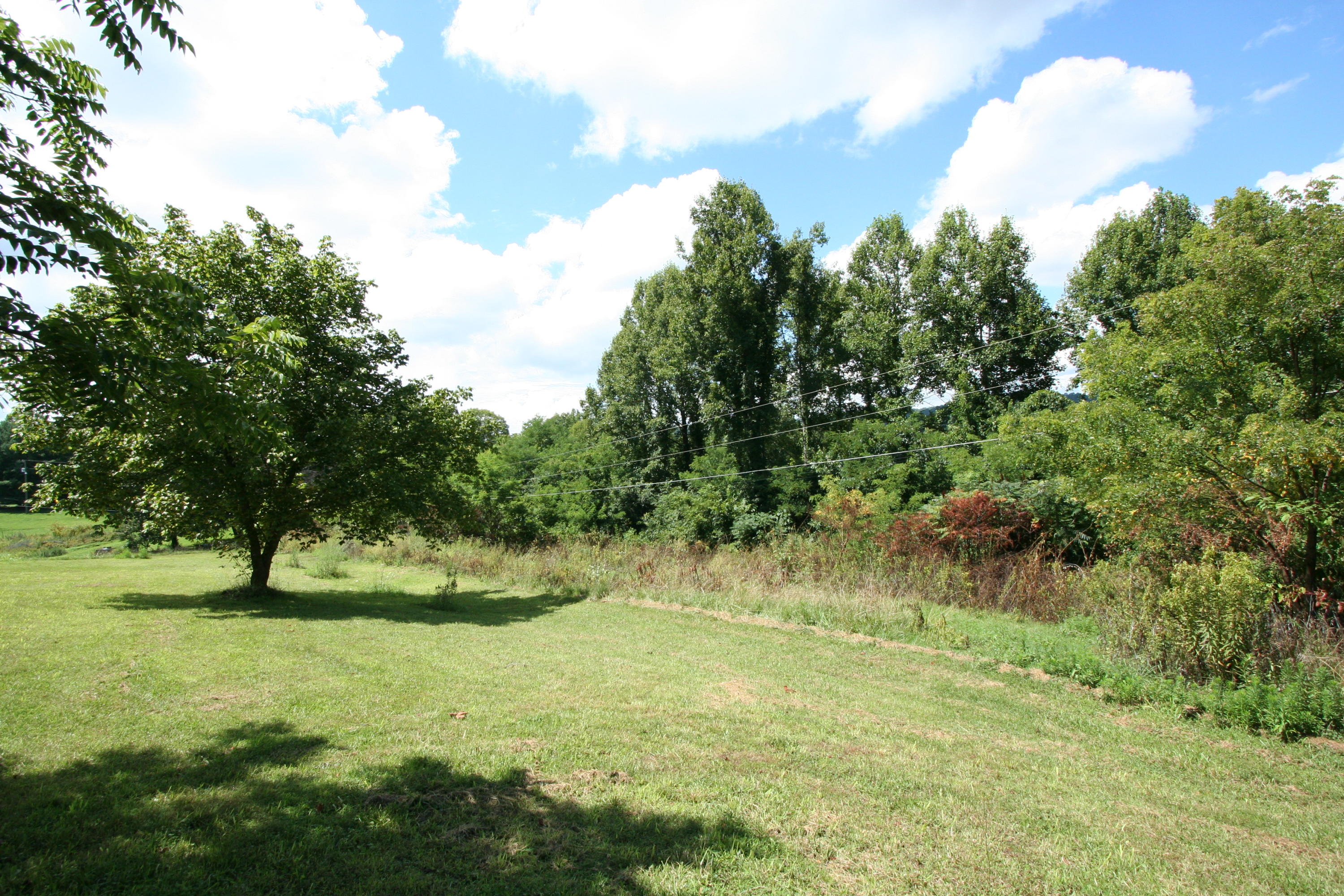 Wallace Road Luttrell, TN 37779 - Photo 7 of 24 Wallace Rd 7