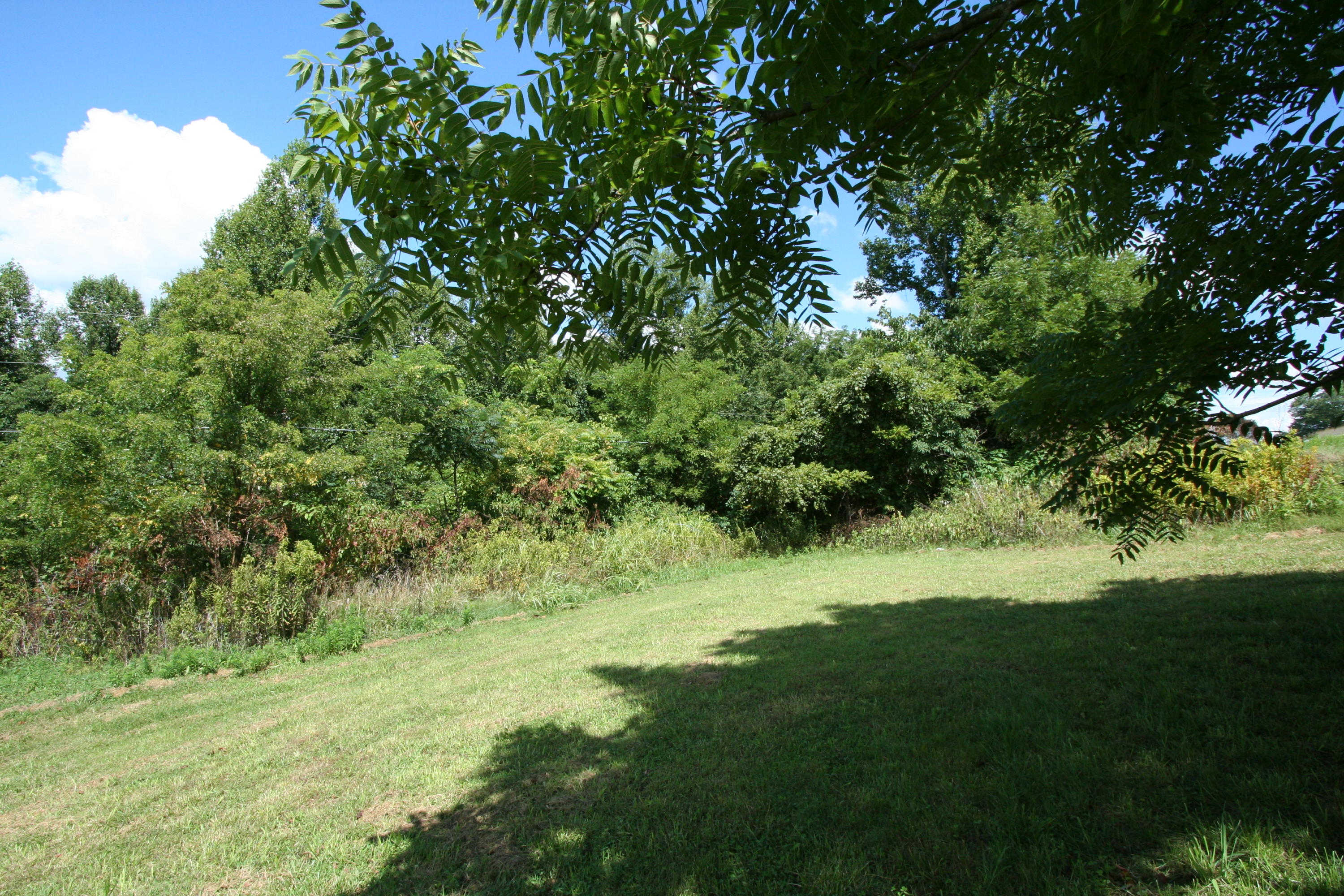Wallace Road Luttrell, TN 37779 - Photo 8 of 24 Wallace Rd 8