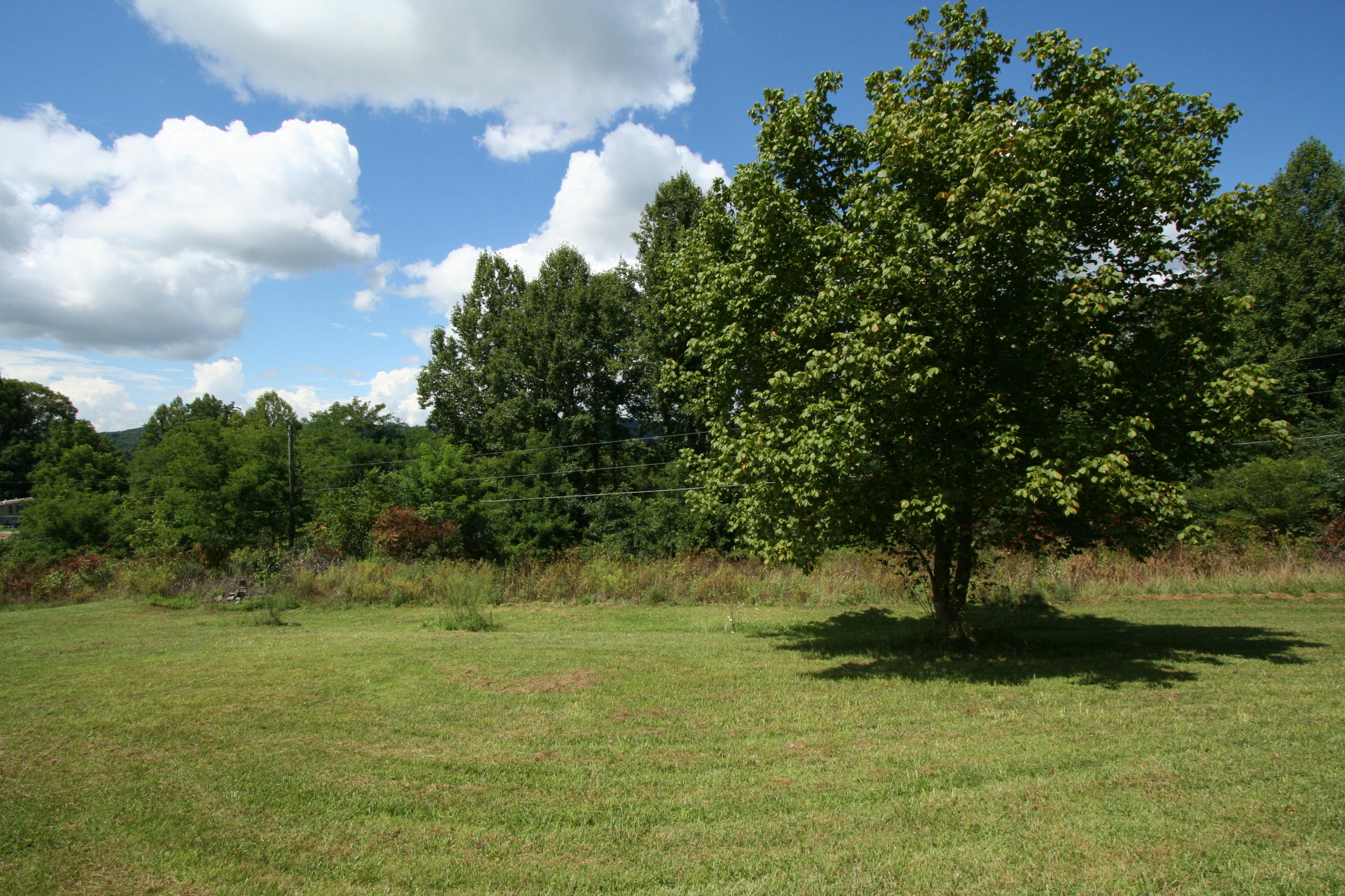 Wallace Road Luttrell, TN 37779 - Photo 10 of 24 Wallace Rd 10