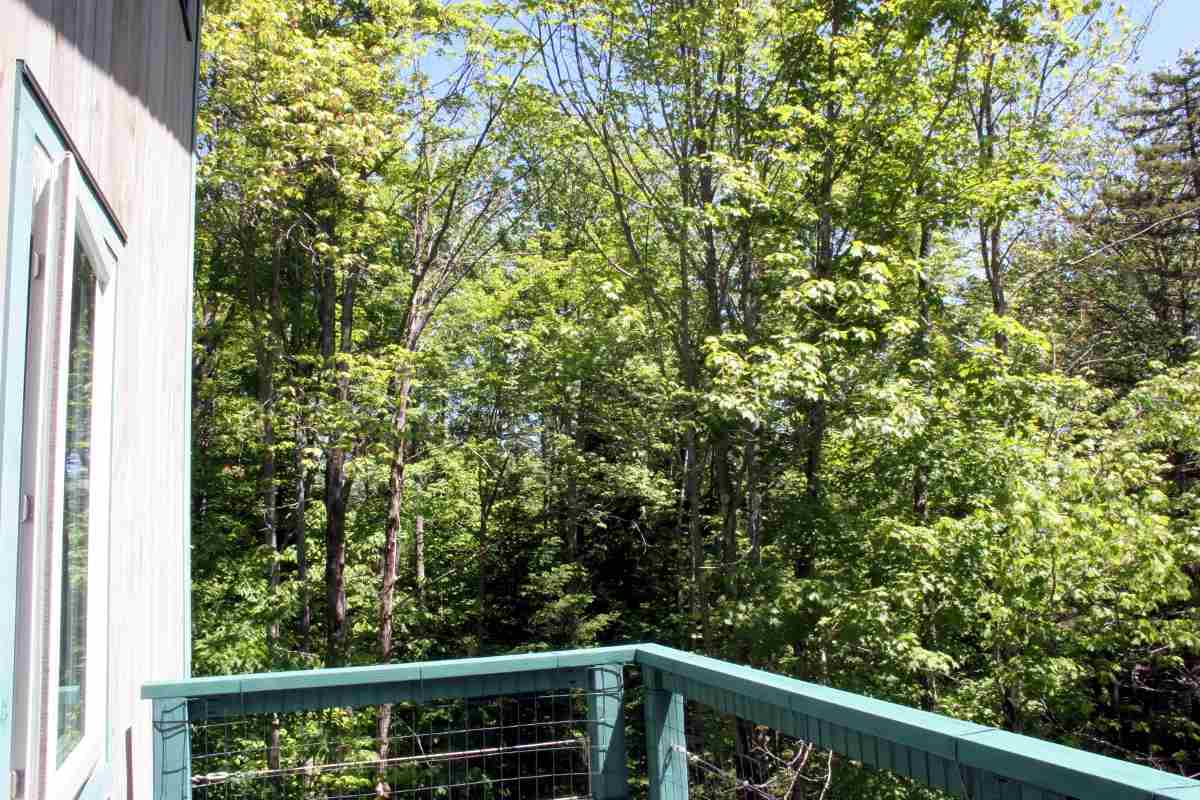 225 Hampshire Hill Road Worcester, VT 05682 - Photo 33 of 36