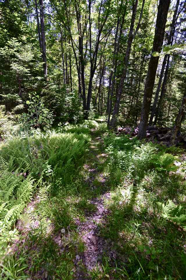 225 Hampshire Hill Road Worcester, VT 05682 - Photo 36 of 36