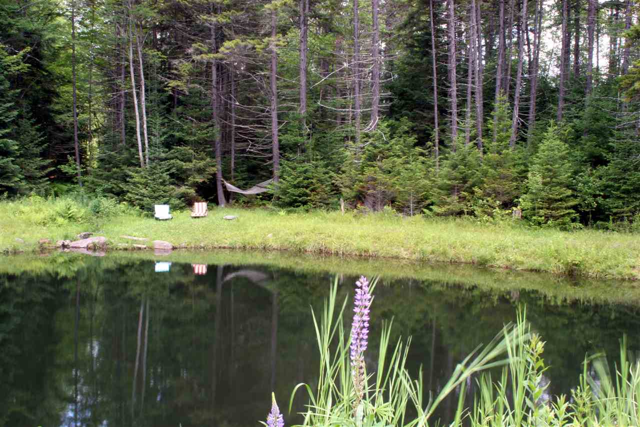 225 Hampshire Hill Road Worcester, VT 05682 - Photo 10 of 36