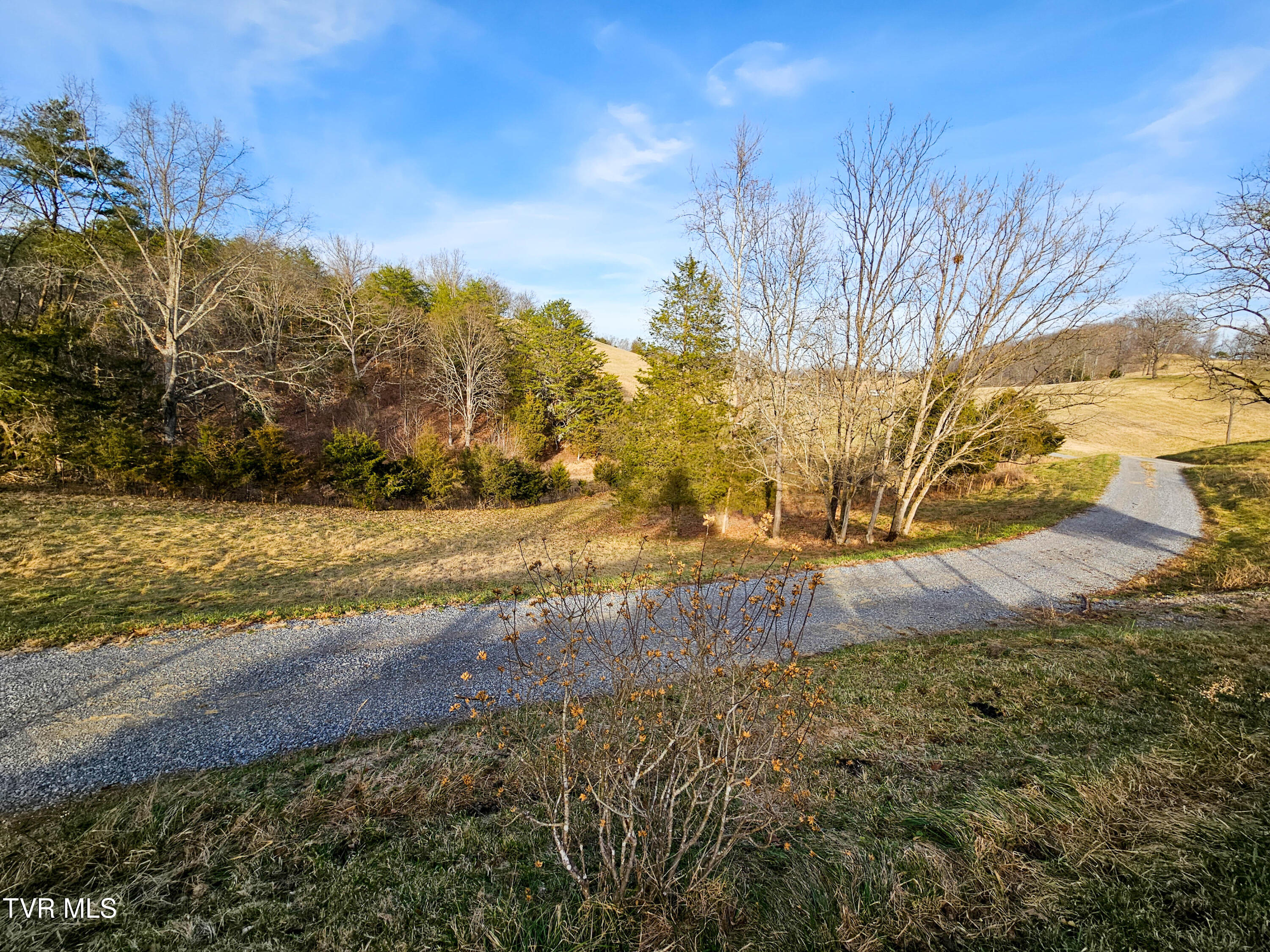 760 Church Road Fall Branch, TN 37656 - Photo 33 of 49 20260105_154212