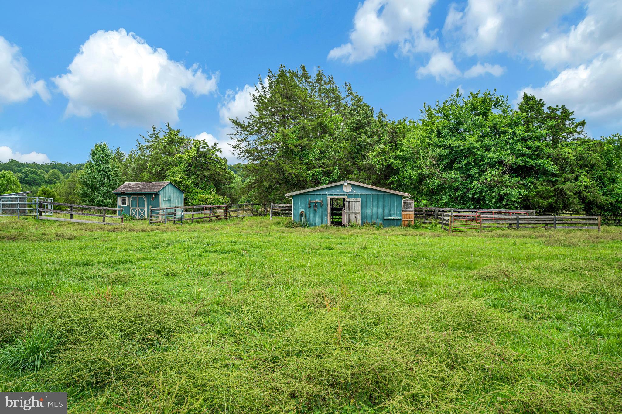 6317 Louisianna Road Locust Grove, VA 22508 - Photo 49 of 57
