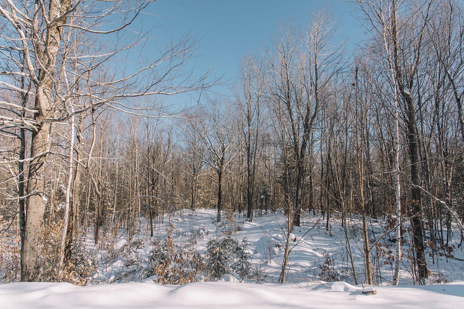 23 Berry Road Sebago, ME 04029 - Photo 7 of 29 Molly Breton & Co. _ www.mollybretonandc