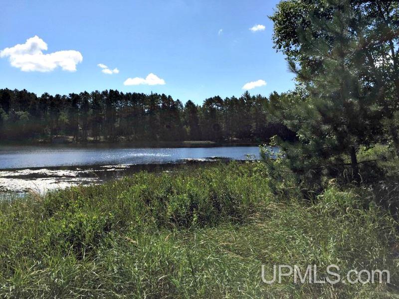 Tbd Scout Lake Road, Unit 1B Florence, WI 54121 - Photo 7 of 7