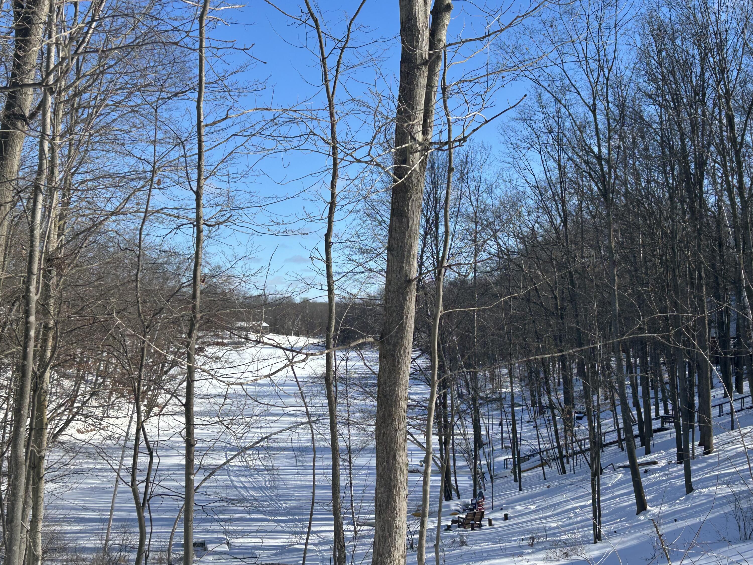 11490 Alpine Road, Unit 43 Stanwood, MI 49346 - Photo 4 of 6 alpine 1