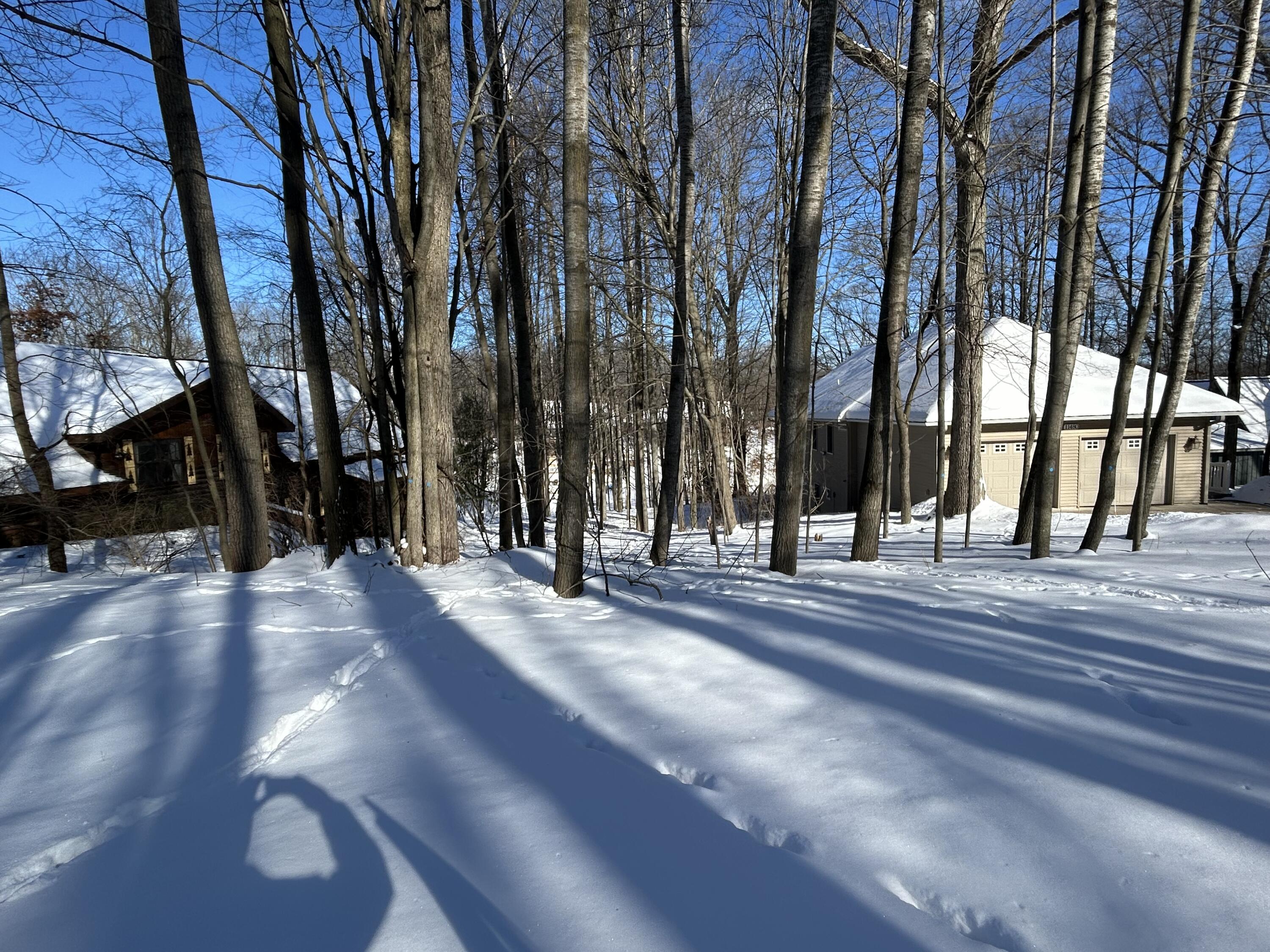 11490 Alpine Road, Unit 43 Stanwood, MI 49346 - Photo 5 of 6 alpine 2