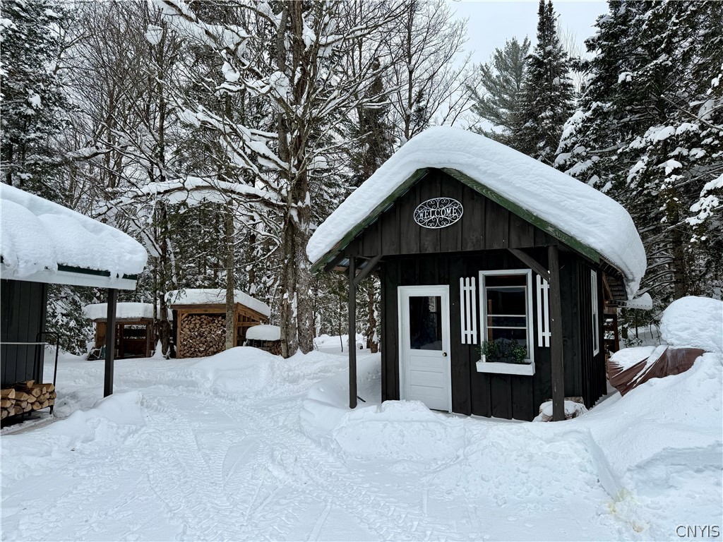 8621 Number 4 Road Watson, NY 13367 - Photo 41 of 50 small shed