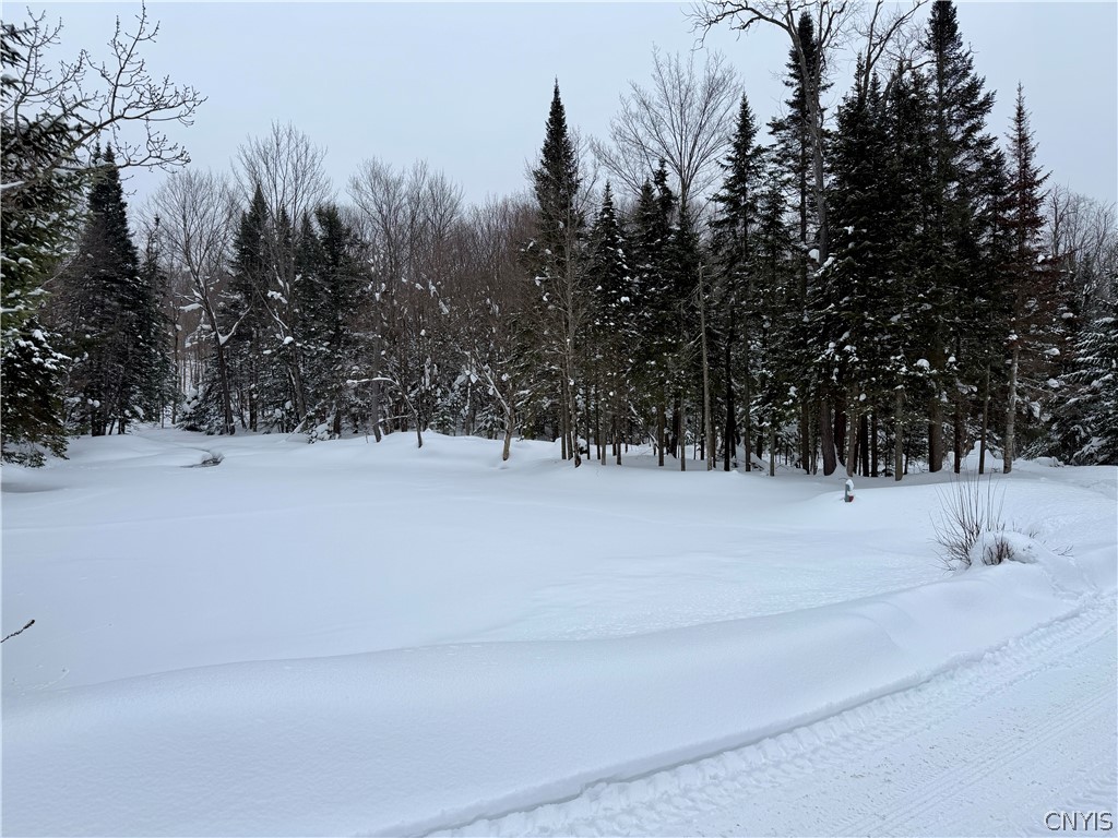 8621 Number 4 Road Watson, NY 13367 - Photo 42 of 50 pond