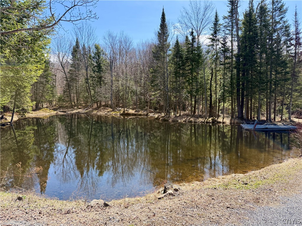 8621 Number 4 Road Watson, NY 13367 - Photo 46 of 50