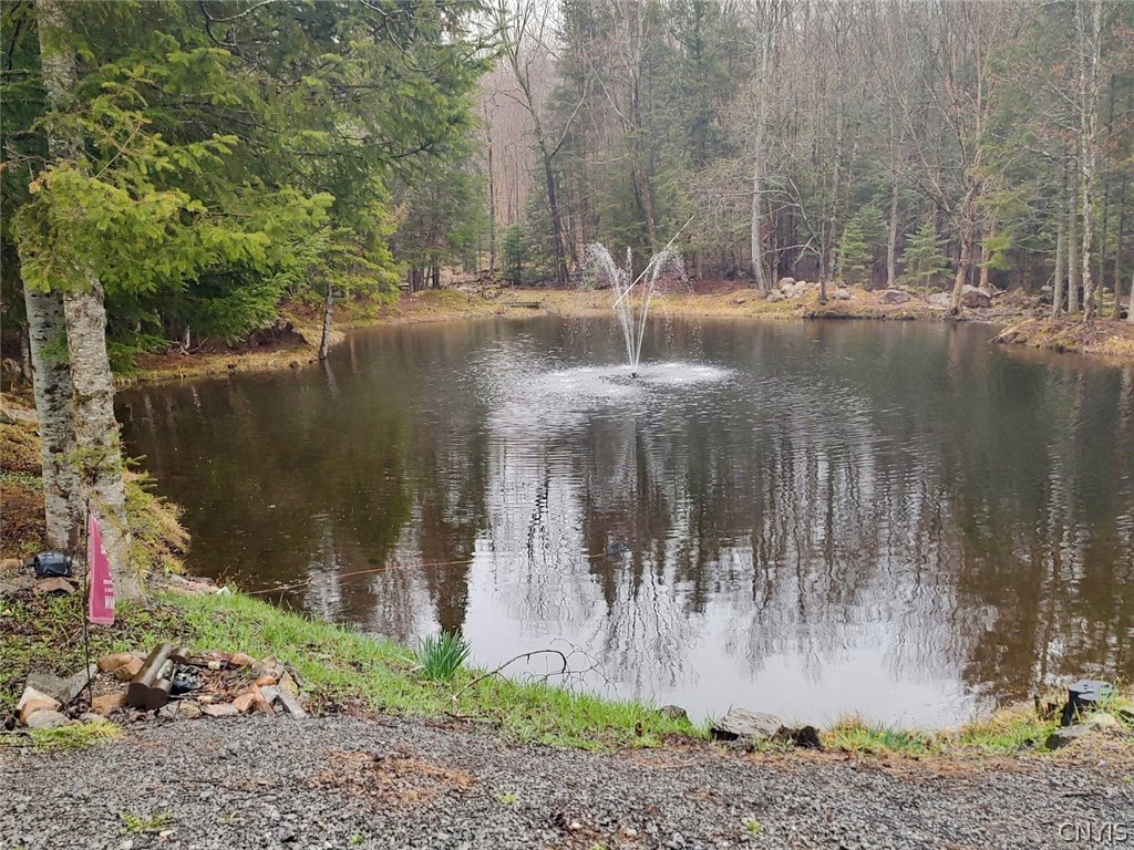 8621 Number 4 Road Watson, NY 13367 - Photo 50 of 50 summer fountain in pond
