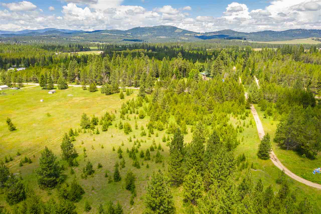 12822 East Bridges Road Elk, WA 99009 - Photo 1 of 10
