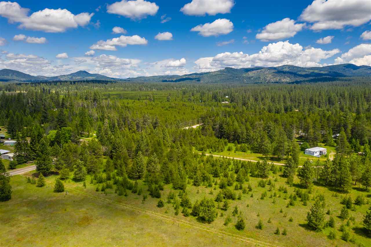 12822 East Bridges Road Elk, WA 99009 - Photo 4 of 10