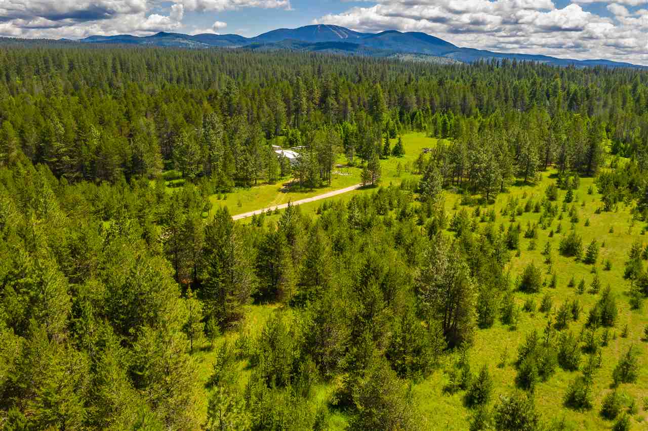 12822 East Bridges Road Elk, WA 99009 - Photo 5 of 10