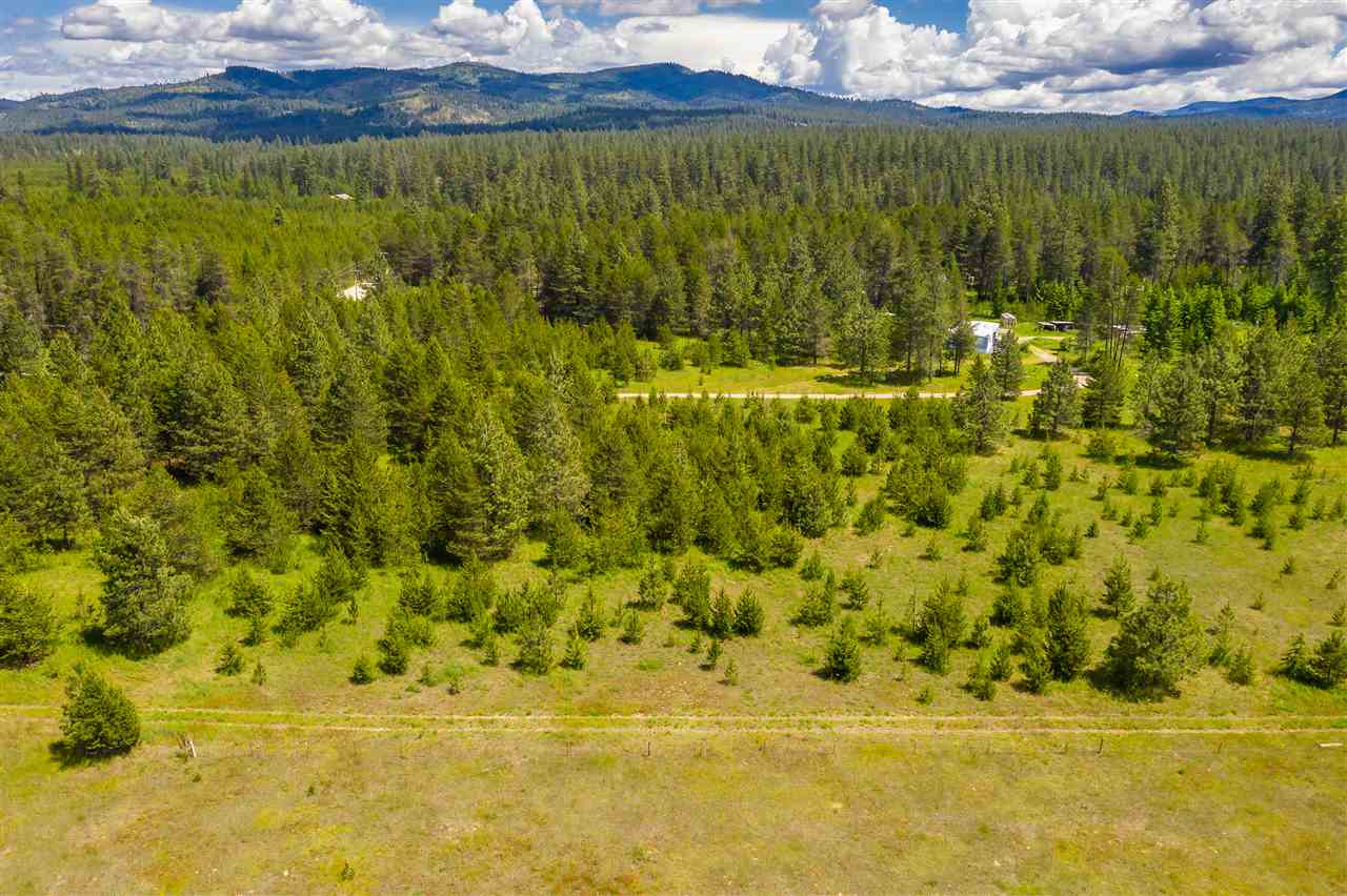 12822 East Bridges Road Elk, WA 99009 - Photo 7 of 10