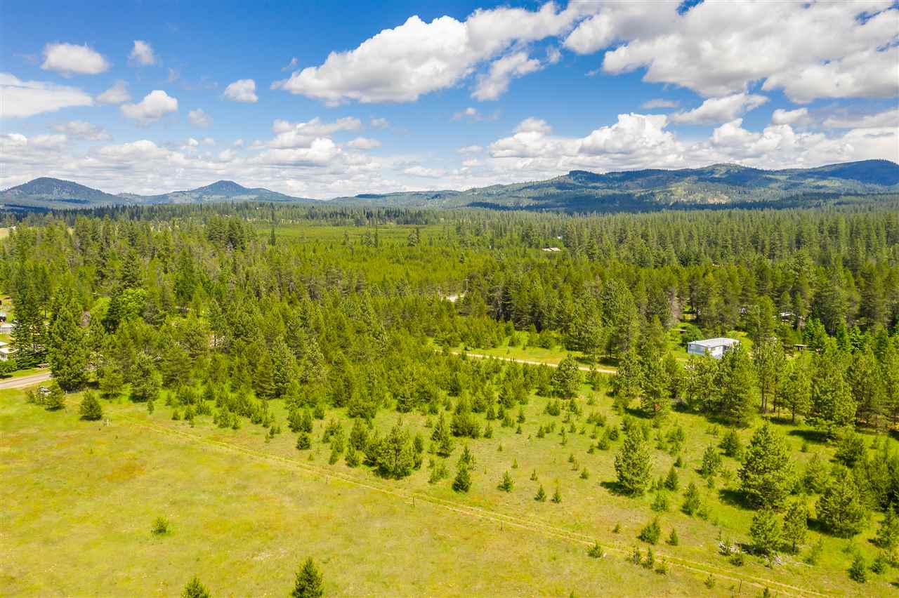 12822 East Bridges Road Elk, WA 99009 - Photo 8 of 10