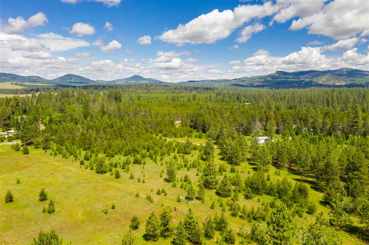 12822 East Bridges Road Elk, WA 99009 - Photo 9 of 10