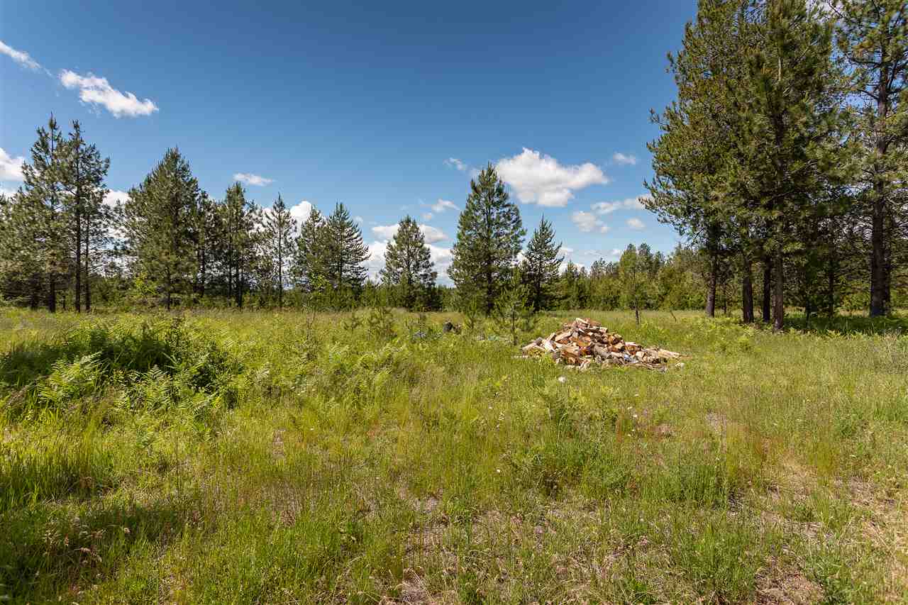 12822 East Bridges Road Elk, WA 99009 - Photo 10 of 10