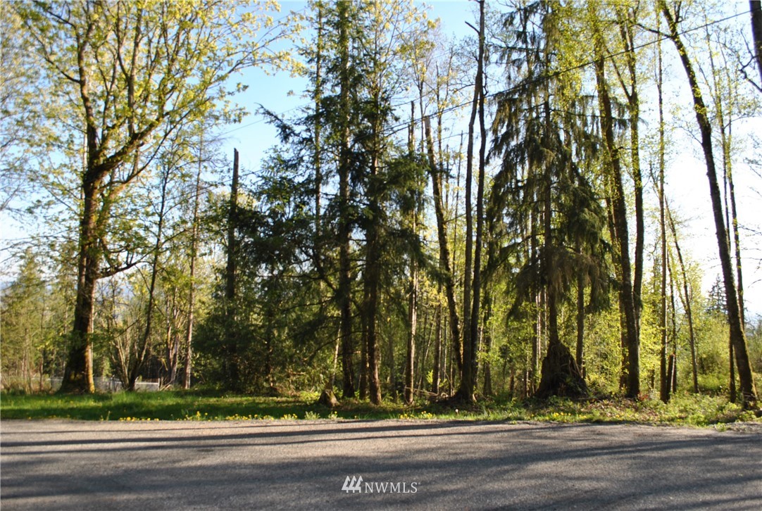 0 Cliffside Lane Sedro-Woolley, WA 98284 - Photo 1 of 5 Gallery Image 1