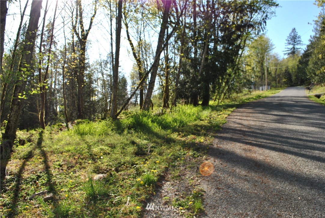 0 Cliffside Lane Sedro-Woolley, WA 98284 - Photo 2 of 5 Gallery Image 2