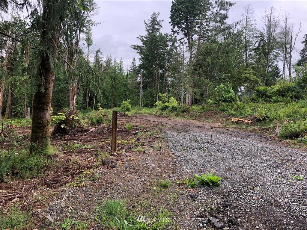 0 Cliffside Lane Sedro-Woolley, WA 98284 - Photo 5 of 5 Gallery Image 5