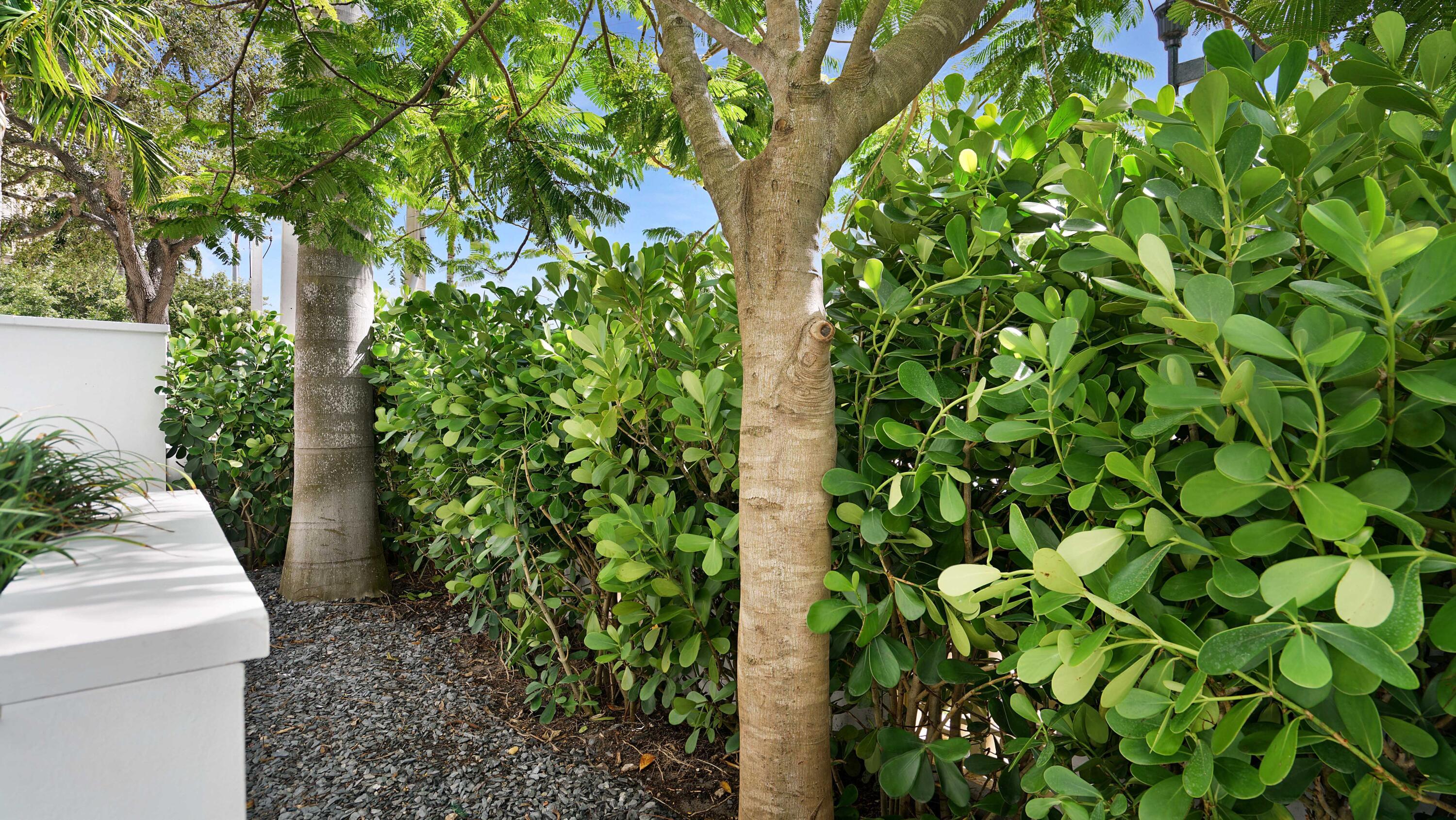 155 East Boca Raton Road, Unit TH3 Boca Raton, FL 33432 - Photo 103 of 112 155 E Boca Raton Road Th3, Boca Raton