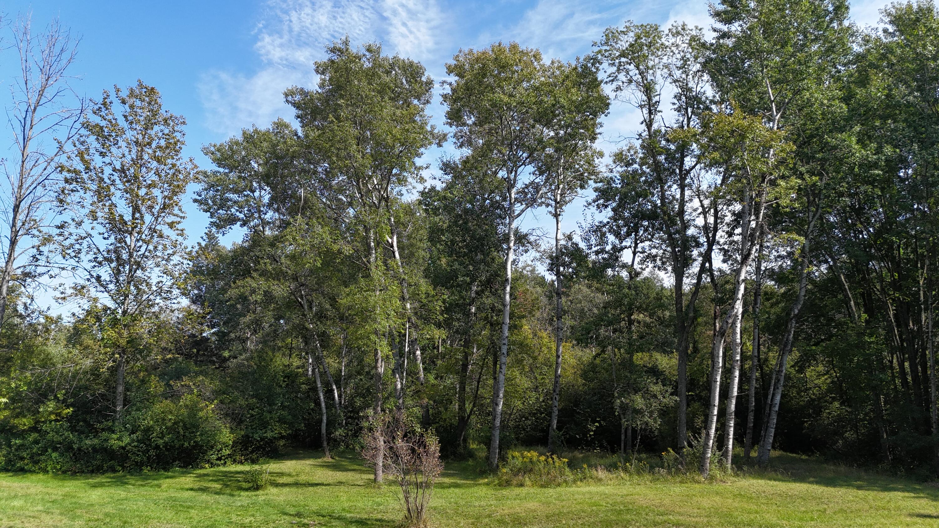 14977 9 Mile Road Kaleva, MI 49645 - Photo 53 of 59 14977 Nine Mile