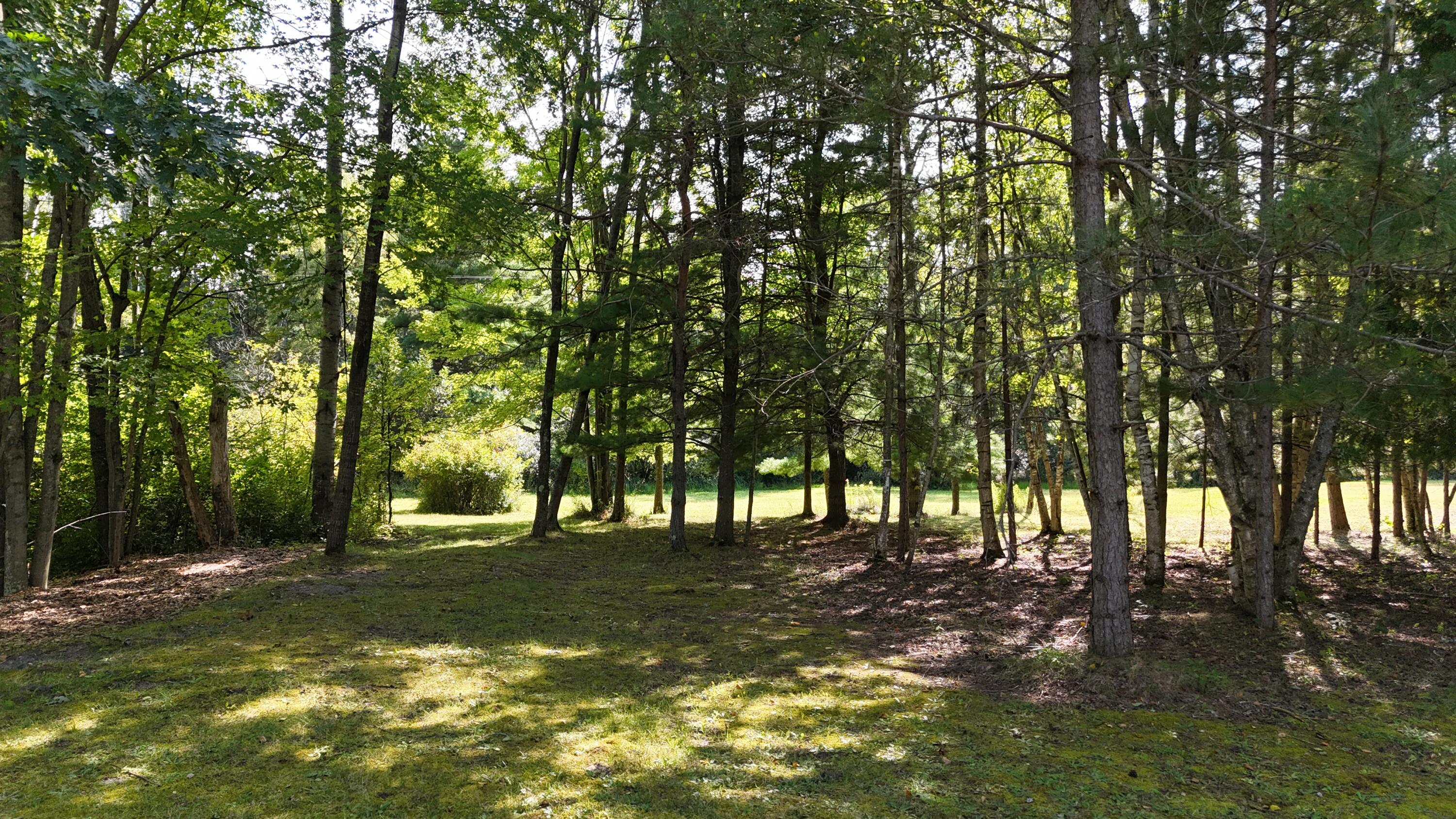 14977 9 Mile Road Kaleva, MI 49645 - Photo 58 of 59 14977 Nine Mile