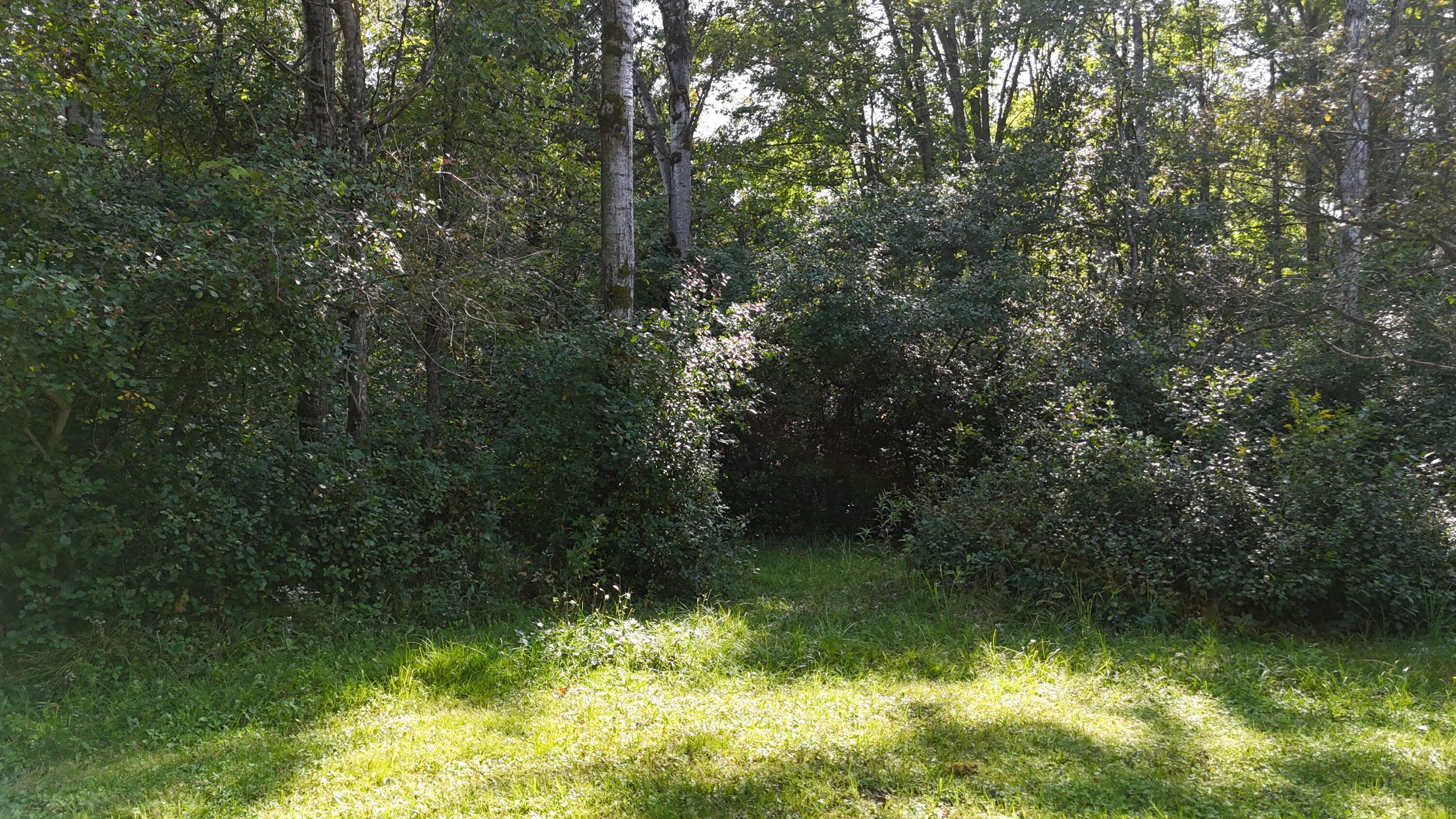 14977 9 Mile Road Kaleva, MI 49645 - Photo 59 of 59 14977 Nine Mile