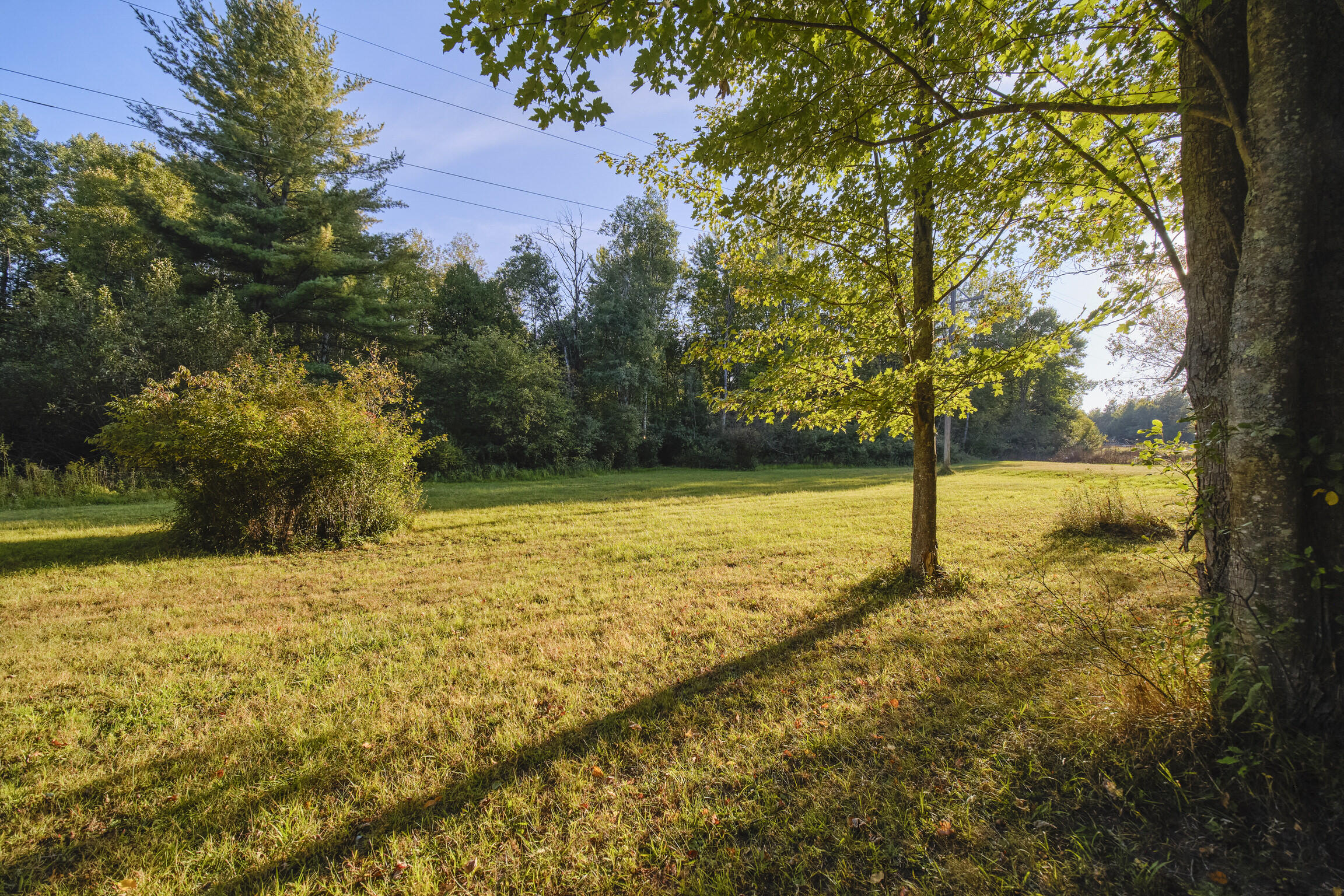 14977 9 Mile Road Kaleva, MI 49645 - Photo 9 of 59 14977 Nine Mile