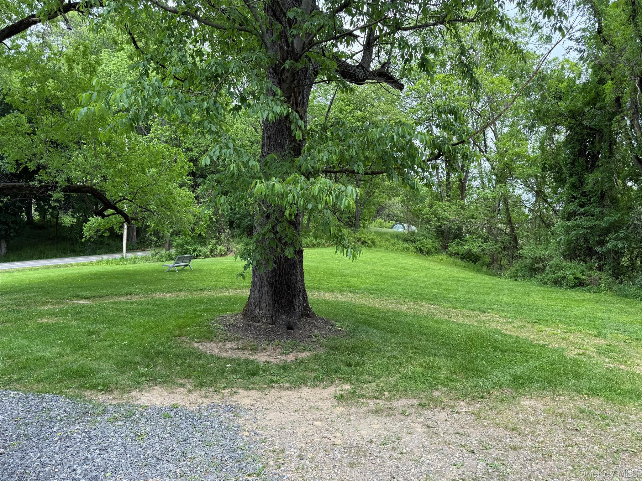 183 Barrytown Road Barrytown, NY 12507 - Photo 35 of 41 a tree in the middle of a garden