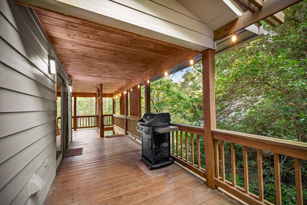 210 White Pine Acres Lane Blue Ridge, GA 30513 - Photo 86 of 94